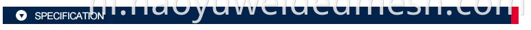 specification